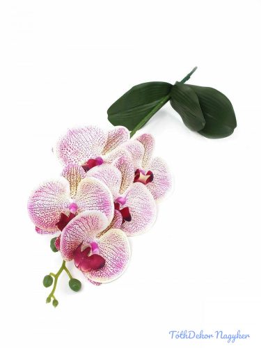 Orchidea 5 fejes 3 levéllel 56 cm - Krém-Rózsaszín
