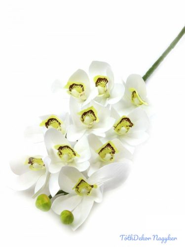 Cymbidium orchidea 10 fejes 75cm - Fehér
