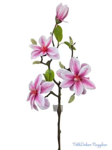 Magnólia ág 3+1v 56cm - Pinkes