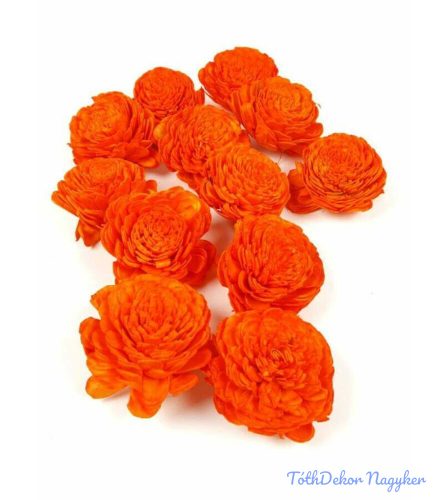 Shola Belly szárazvirág fej 8 cm - Narancs