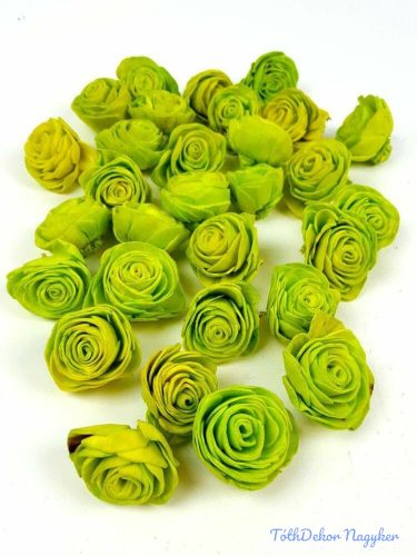 Shola Beauty Rose szárazvirág fej 4 cm - Világos Zöld