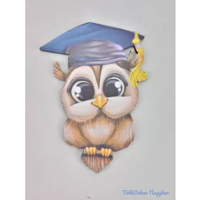Cuki ballagó bagoly táblácska