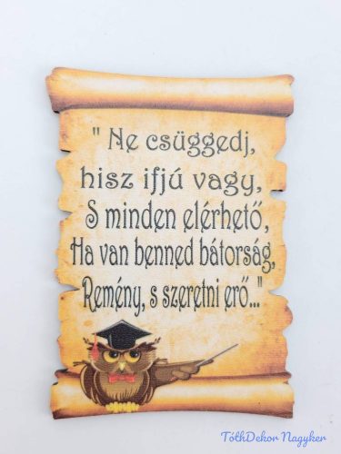 Baglyos papirusz idézettel - Ne csüggedj, hisz ifjú vagy…