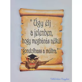 Baglyos papirusz idézettel - Úgy élj a jelenben…