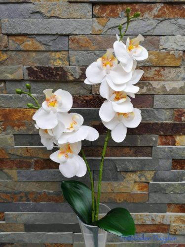 Orchidea gumis 2 ágú 2 leveles 45 cm - Fehér
