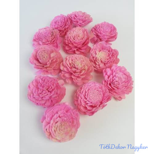 Shola Belly 12 db 8 cm - Rózsaszín száraz virágfej