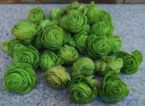 Shola Beauty Rose 30 db 4 cm - Világos Zöld szárazvirág fej