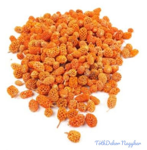 Casurina száraz termés 15 dkg - Narancs