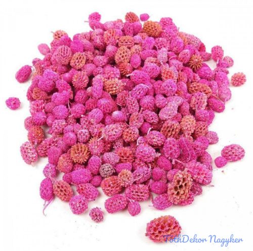 Casurina száraz termés 15 dkg - Pink