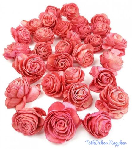 Shola Beauty Rose 30 db 4 cm - Antik Barack szárazvirág fej