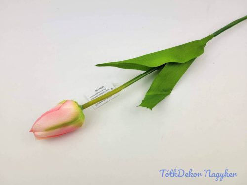 Bimbós tulipán szálas 53 cm - Rózsaszín
