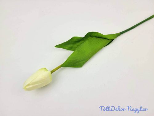 Bimbós tulipán szálas 53 cm - Törtfehér