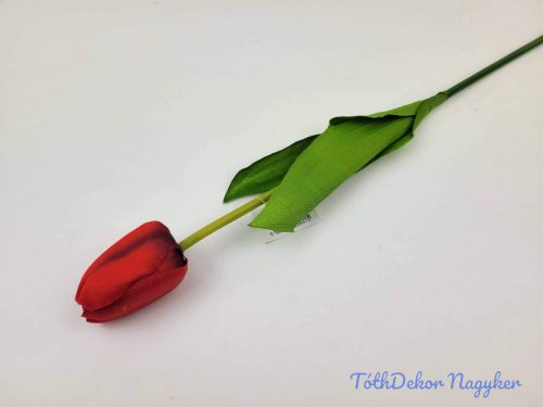 Bimbós tulipán szálas 53 cm - Piros