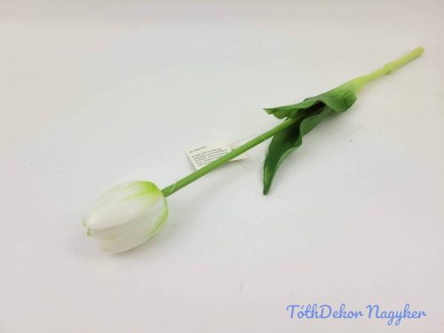 Tulipán gumi élethű szálas 39 cm - Zöldes Fehér