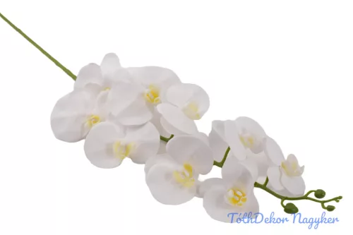 Gumis élethű phalaenopsis orchidea ág 100 cm - Fehér