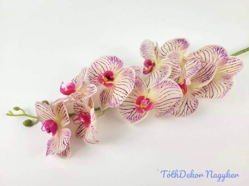 Gumis élethű phalaenopsis orchidea ág 100 cm - Krém-Lila Cirmos