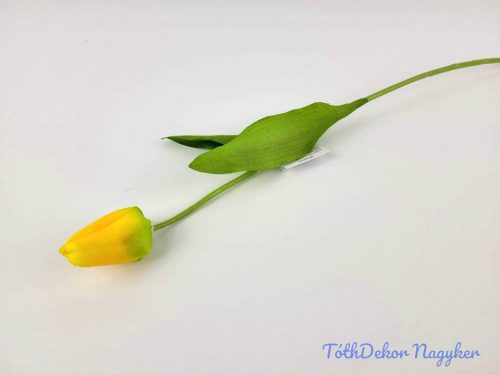 Bimbós tulipán szálas 48 cm - Sárga