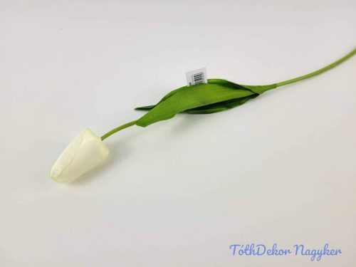 Bimbós tulipán szálas 48 cm - Fehér
