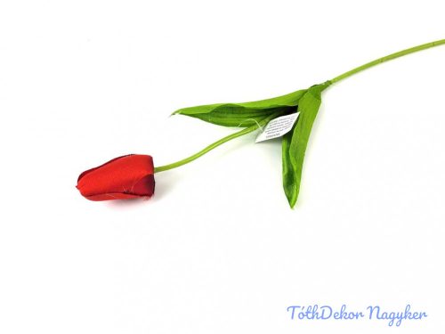 Bimbós tulipán szálas 48 cm - Piros
