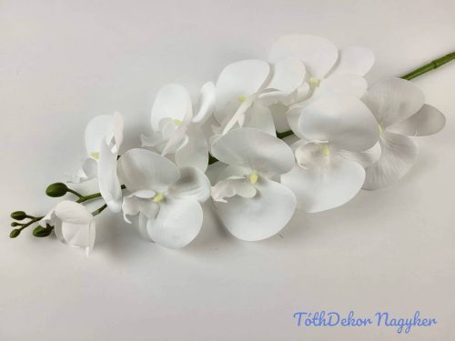 Gumis ezerett phalaenopsis orchidea ág 96 cm - Fehér