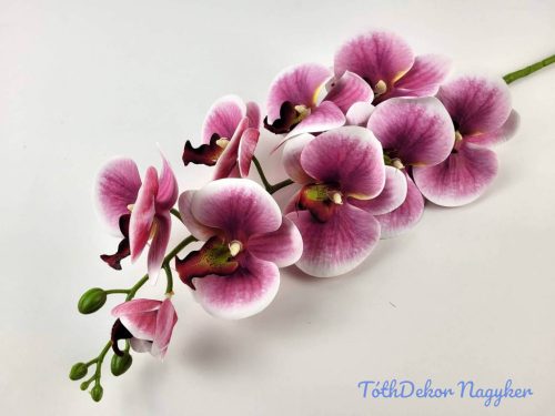 Gumis ezerett phalaenopsis orchidea ág 96 cm - Mályvás Átmenetes