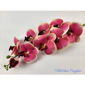   Gumis ezerett phalaenopsis orchidea ág 96 cm - Krém-Sötét Rózsaszín