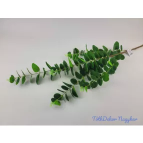 Eukaliptusz ág 97cm - Zöld