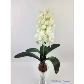 Hagymás jácint 5 levéllel 39/29 cm - Fehér