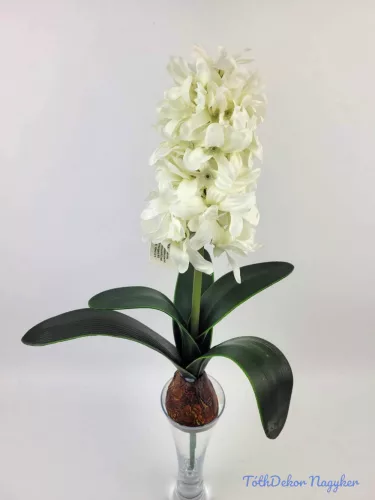 Hagymás jácint 5 levéllel 39/29 cm - Fehér