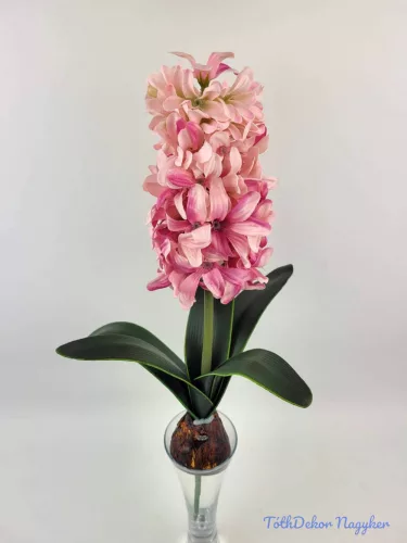 Hagymás jácint 5 levéllel 39/29 cm - Rózsaszín