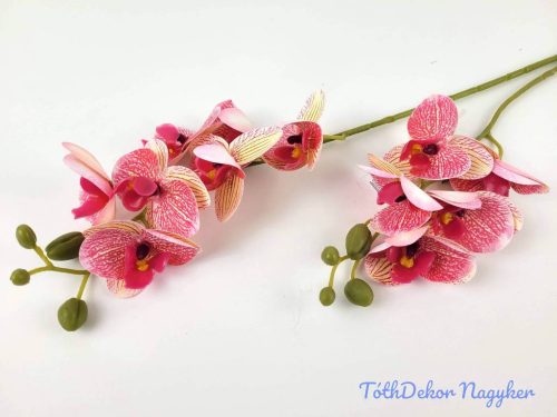 Gumis orchidea 2 ágú 58 cm - Krém-Rózsaszín Cirmos
