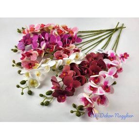 Gumis orchidea 2 ágú 58 cm - Mix