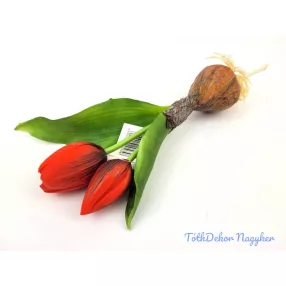 Hagymás gumi tulipán 2 bimbós fejű 24/18 cm - Piros