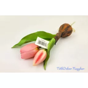   Hagymás gumi tulipán 2 bimbós fejű 24/18 cm - Rózsaszín