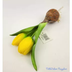 Hagymás gumi tulipán 2 bimbós fejű 24/18 cm - Sárga
