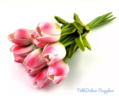 Tulipán 10 szálas gumi köteg 34 cm - Fehér-Rózsaszín