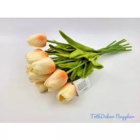 Tulipán 10 szálas gumi köteg 34 cm - Krém-Narancs