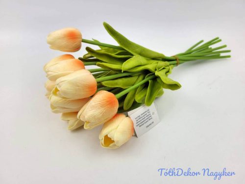 Tulipán 10 szálas gumi köteg 34 cm - Krém-Narancs