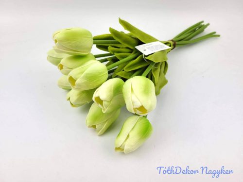 Tulipán 10 szálas gumi köteg 34 cm - Zöldes