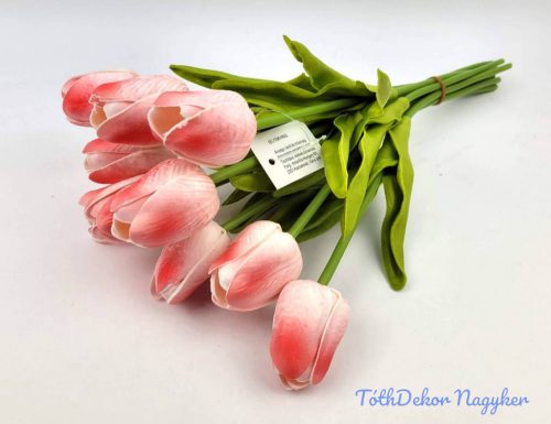 Tulipán 10 szálas gumi köteg 34 cm - Piruló Fehér
