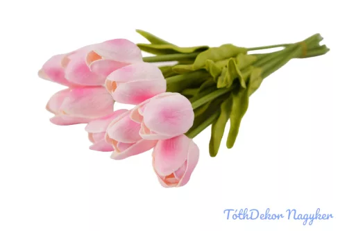 Tulipán 10 szálas gumi köteg 34 cm - Rózsaszín