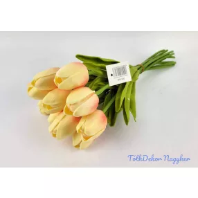 Tulipán 10 szálas gumi köteg 34 cm - Krém-Barack