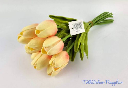 Tulipán 10 szálas gumi köteg 34 cm - Krém-Barack
