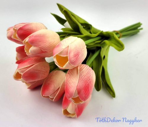 Tulipán 10 szálas gumi köteg 34 cm - Krém-Rózsaszín