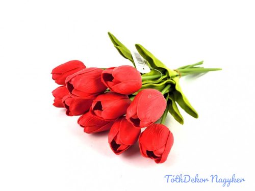 Tulipán 10 szálas gumi köteg 34 cm - Piros