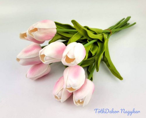 Tulipán 10 szálas gumi köteg 34 cm - Fehér-Babarózsaszín