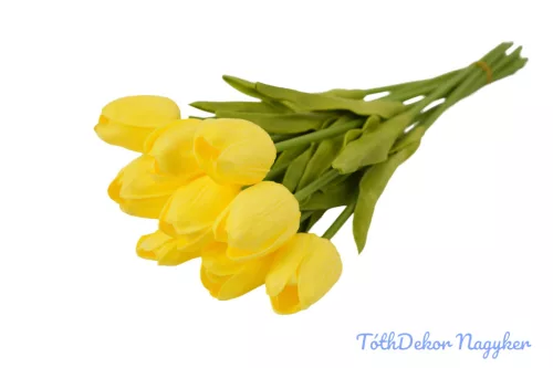 Tulipán 10 szálas gumi köteg 34 cm - Sárga