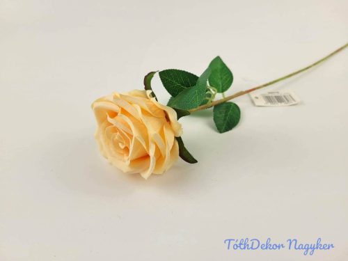 Szálas bársonyos rózsa 51 cm - Barack