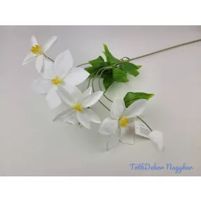 Klematisz 5v. ág 70cm - Fehér