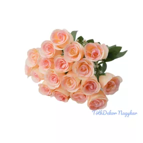   Bimbós Rózsa 18 ágú selyem csokor 41 cm - Krém-Rózsaszín